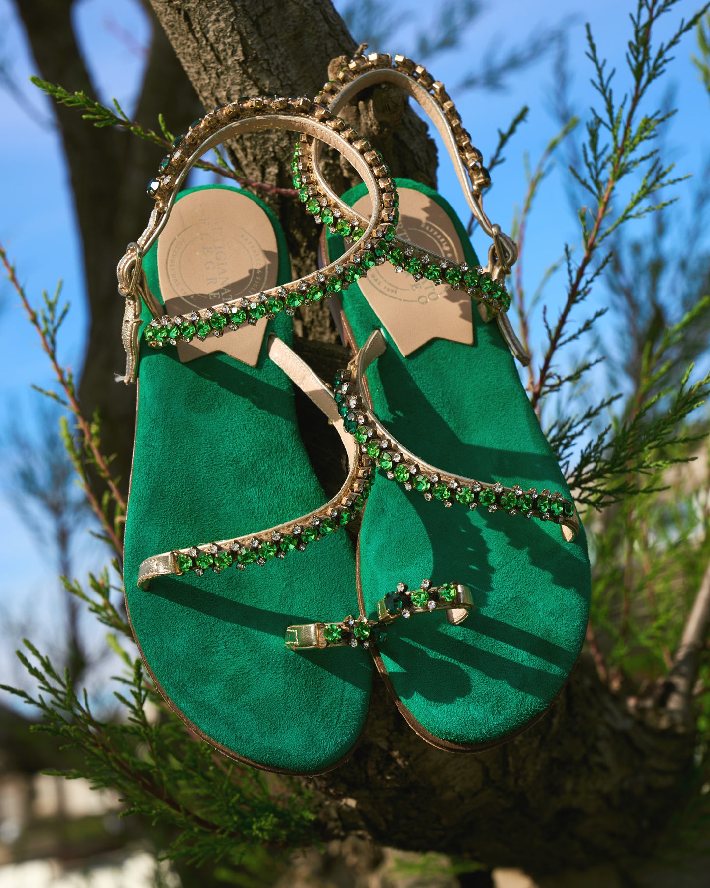 Itaca Green